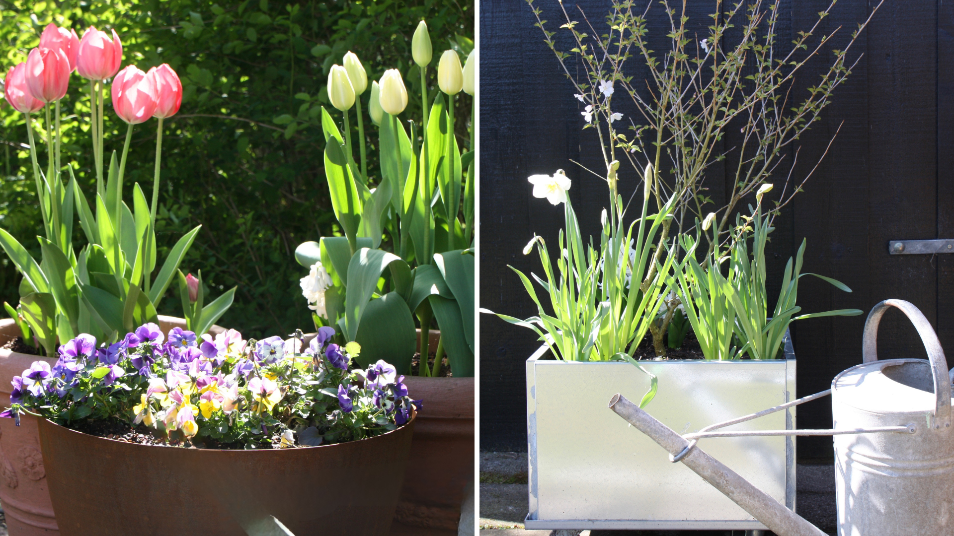 Vår trädgård blomstrar