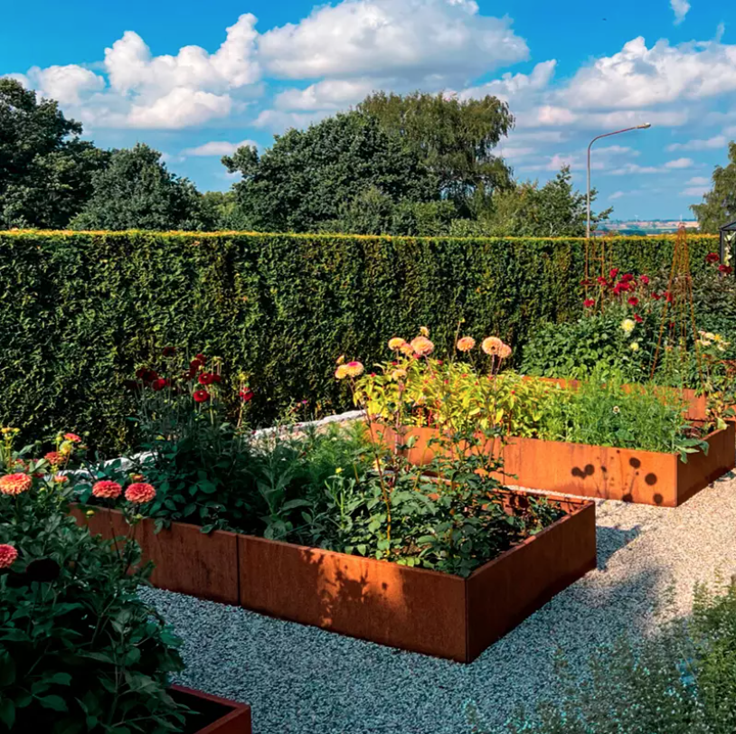 September i trädgården