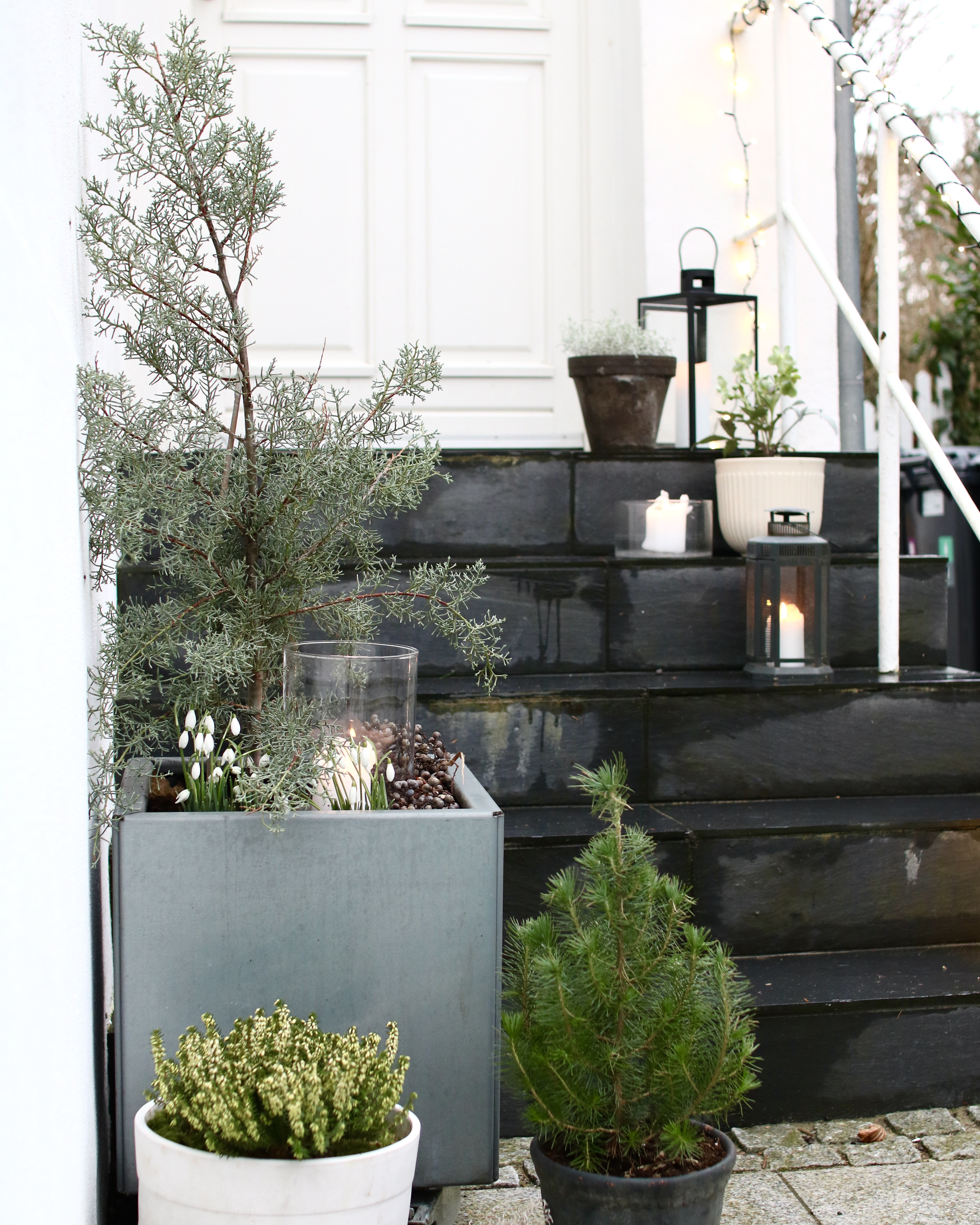 Vad kan odlas i blomlådor och krukor?