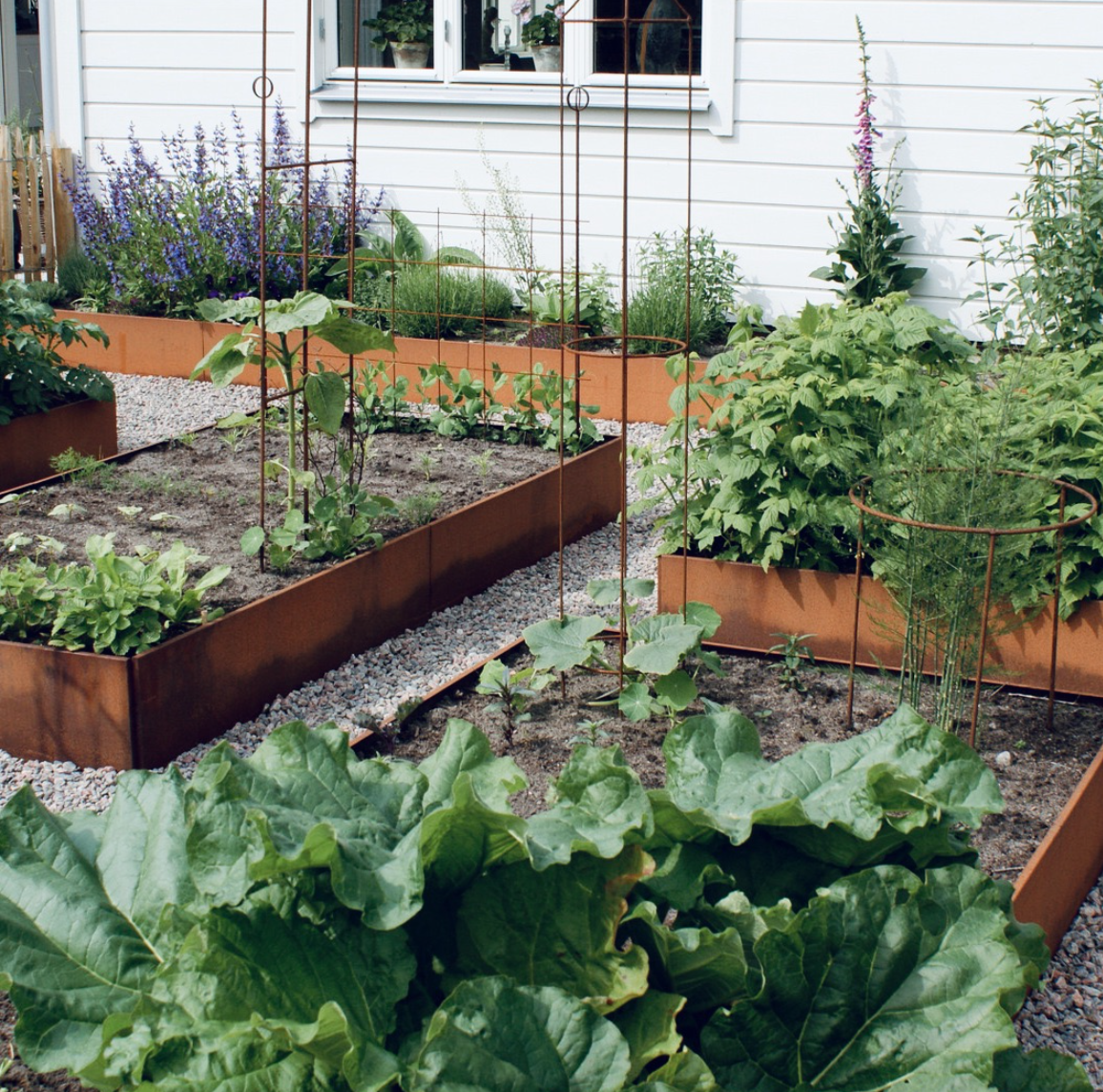 Gräslök strösslad över lunchbordets pålägg