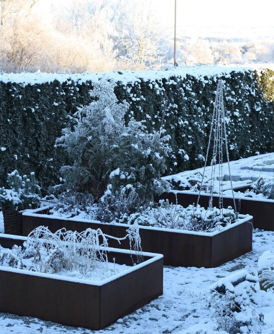 Förvandla julens rester till fågelgodis