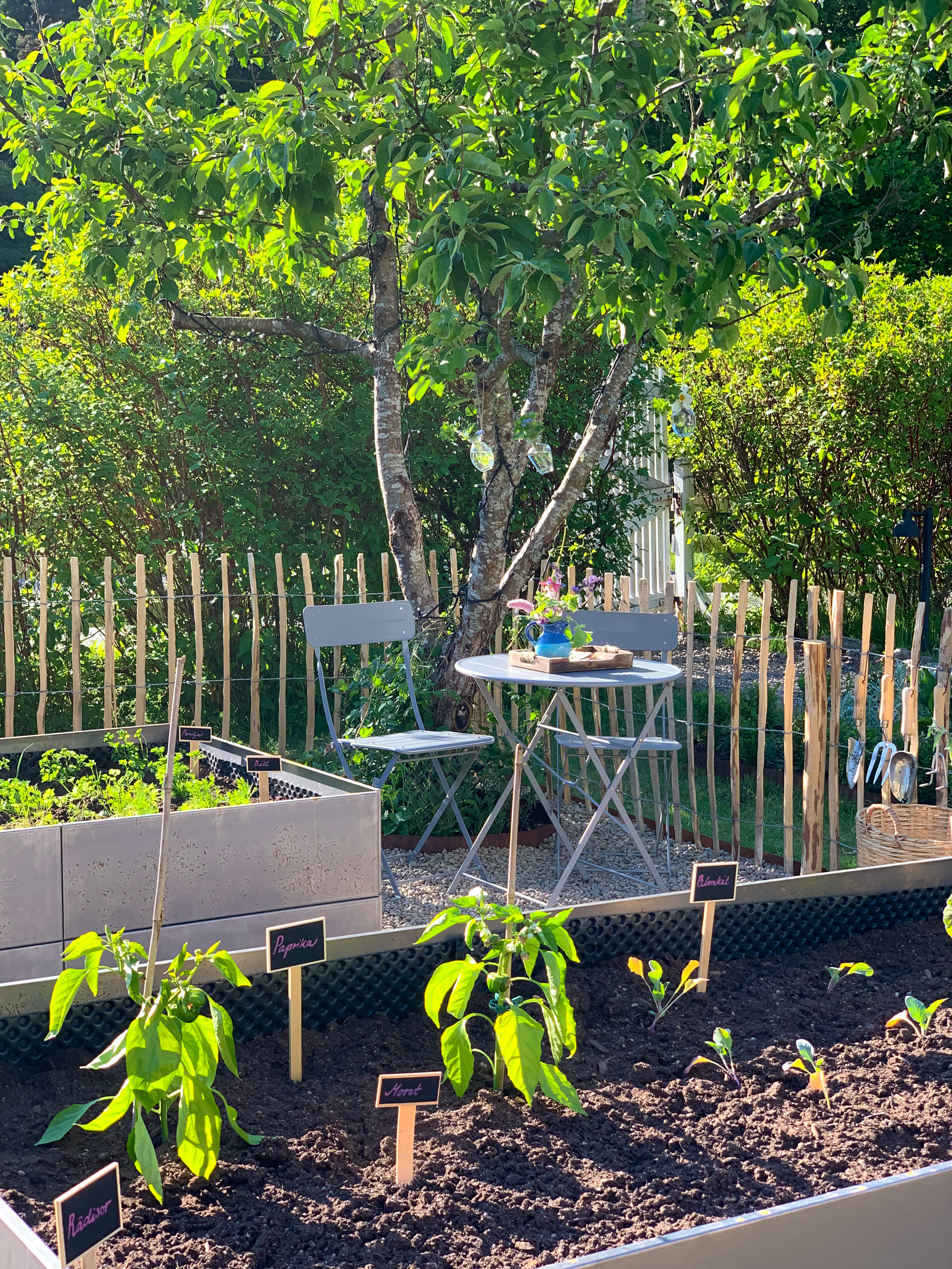 Så är det äntligen dags att så och plantera i odlingslådan