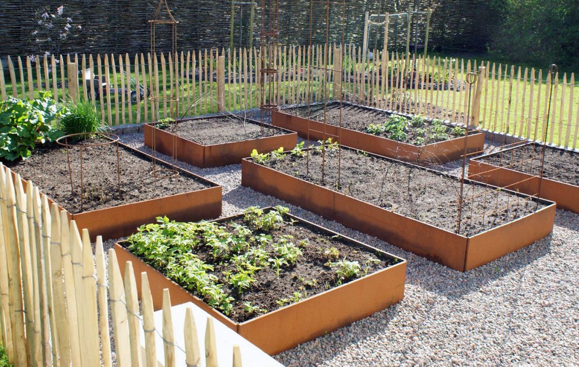 Nu kan du förodla potatis