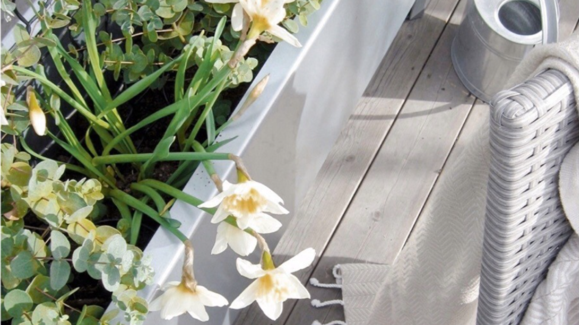 Från trädgården direkt in i vardagsrummet – så får du färska blommor med gott samvete