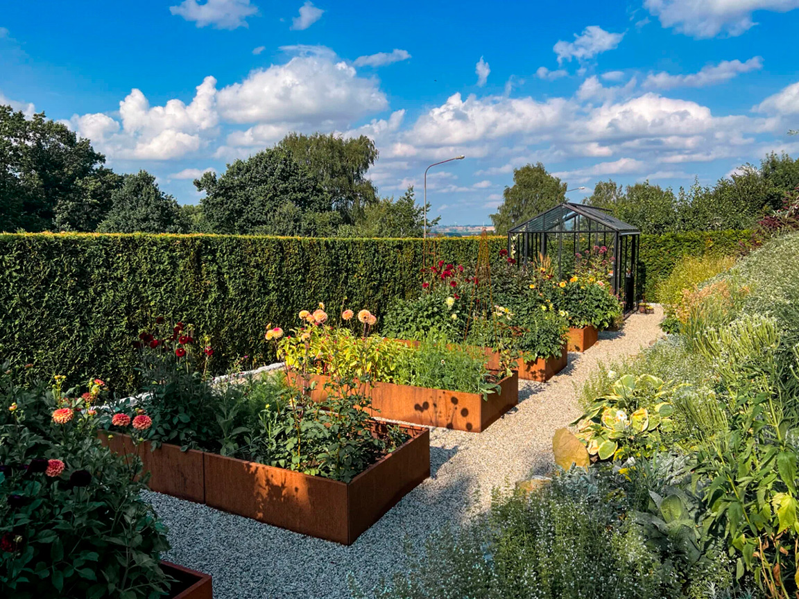 Guide för snittblomsodling