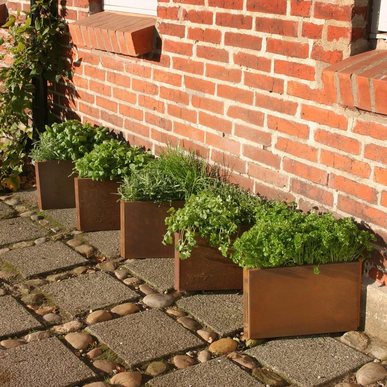 Land Classic Hoejbede Langs Muren Med Trekanter Og Krydderurter 1 Land Classic Hoejbede Langs Muren Med Trekanter Og Krydderurter 1