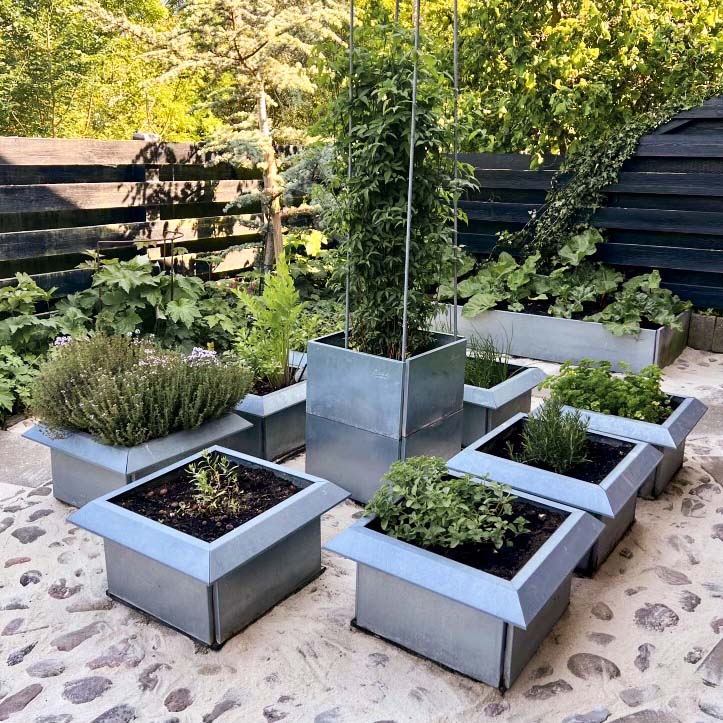 Ovälkommet besök i odlingslådan