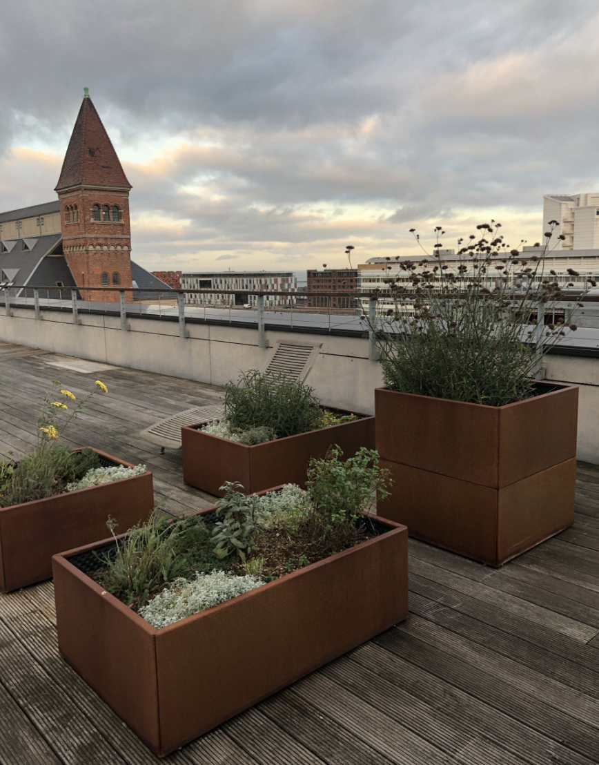 Odlingslådor på takterrassen