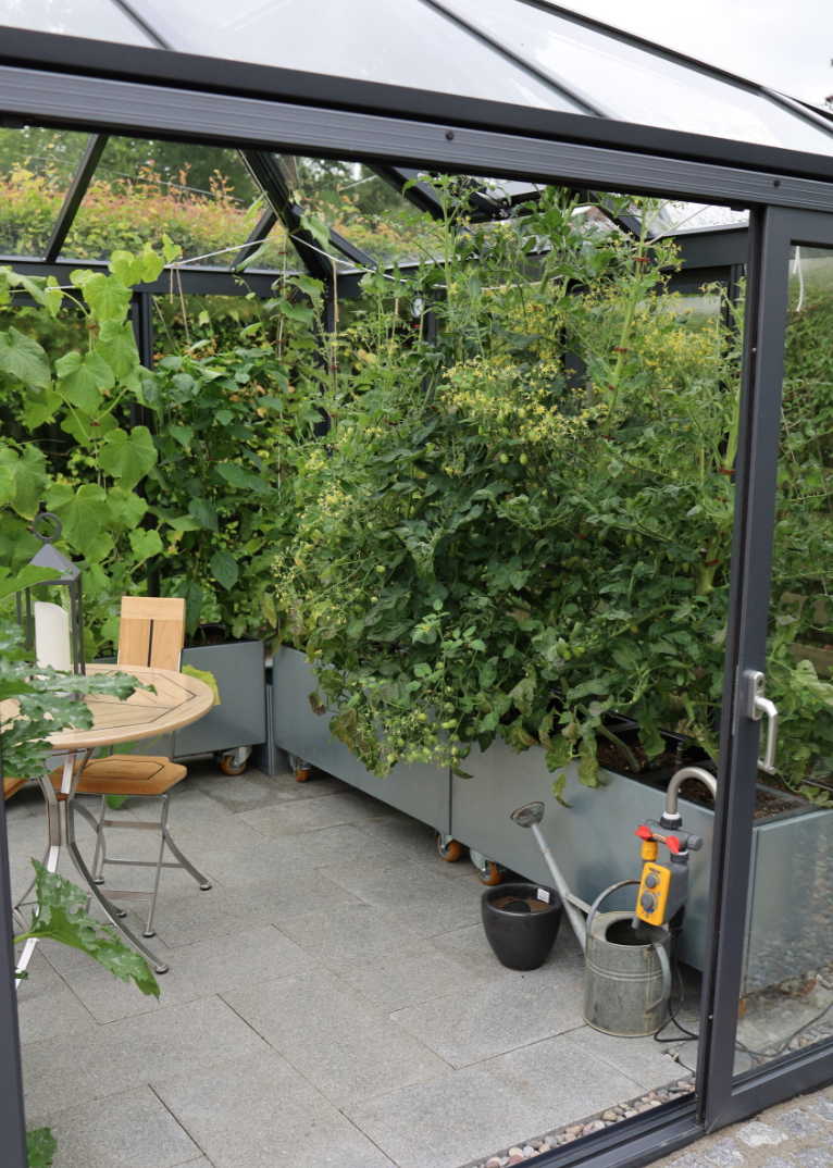 Grönsaksfest i odlingslådan – sensommar, stjärnspetsar och spontana utmaningar