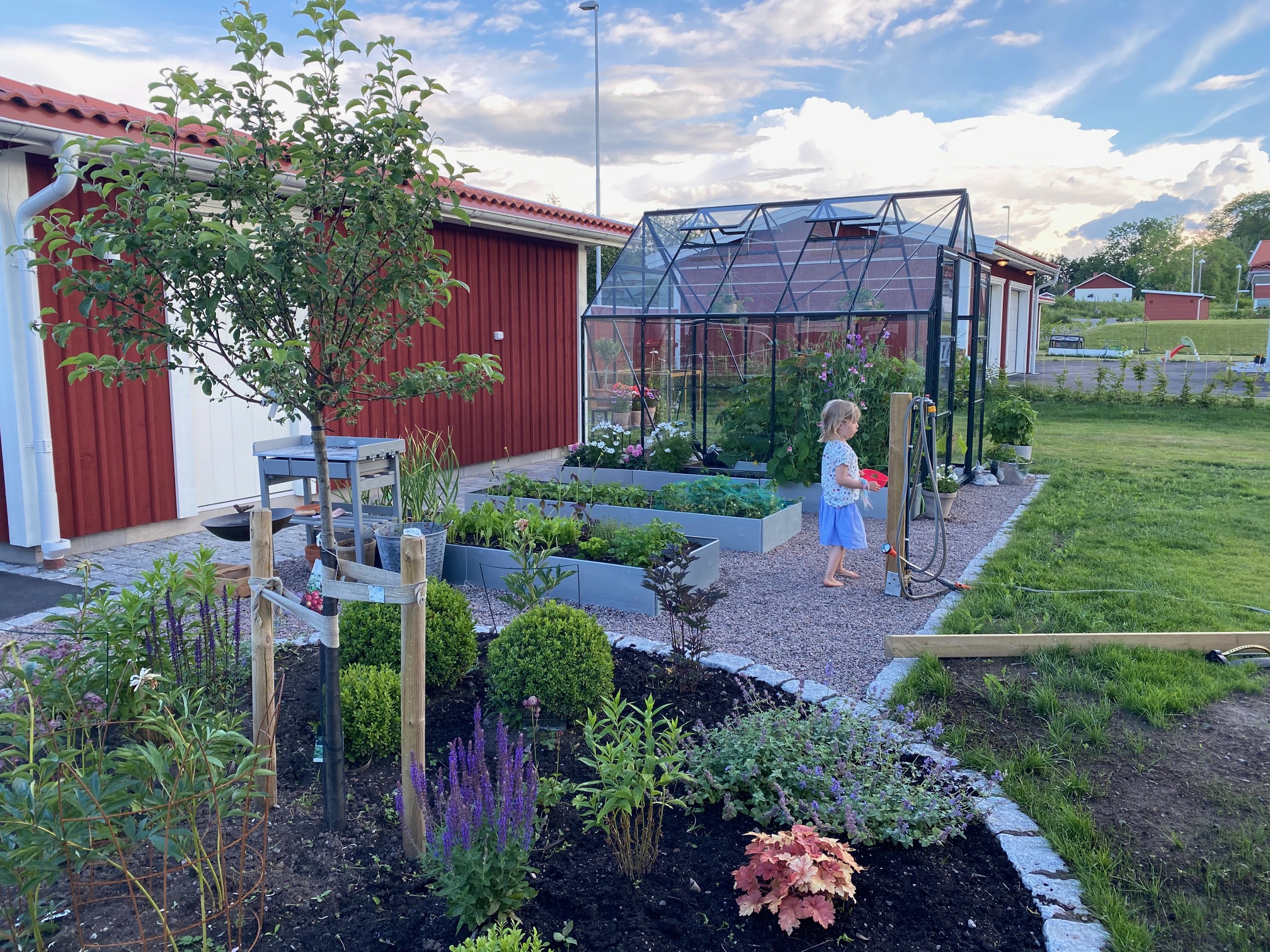 Kom igång med att odla kål