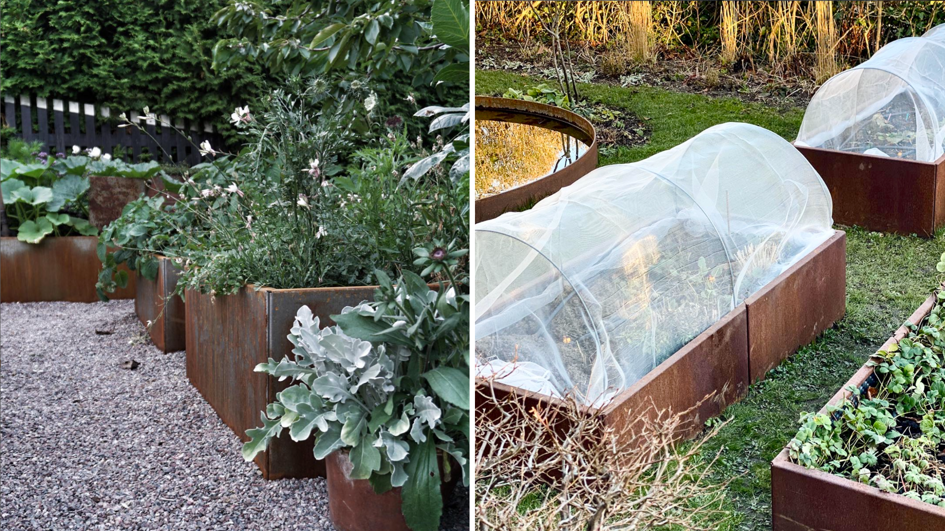 Köksträdgård för nybörjare