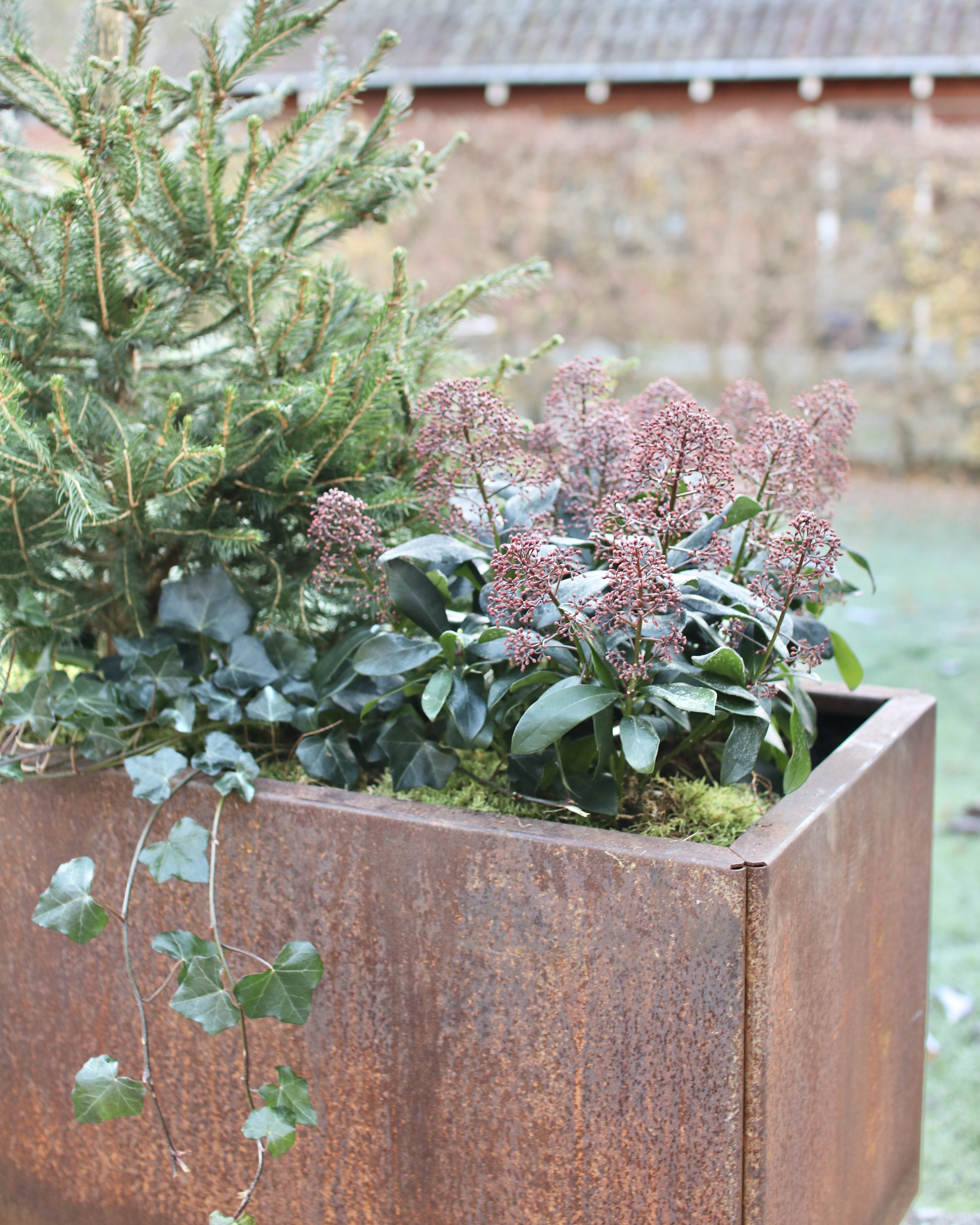 Höst & vinter i trädgården — den perfekta tiden för förberedelser och ro