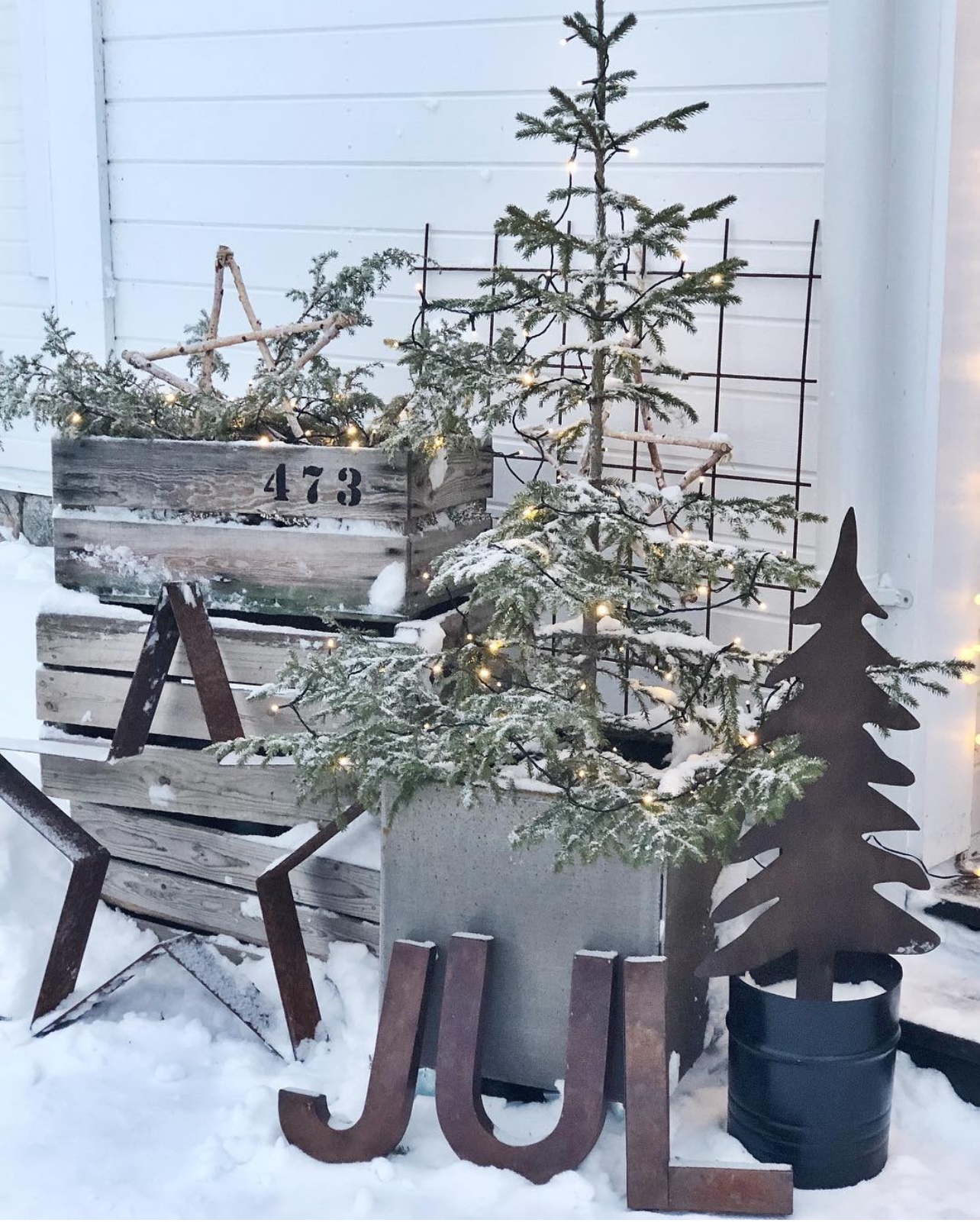 Låt julgranen leva!