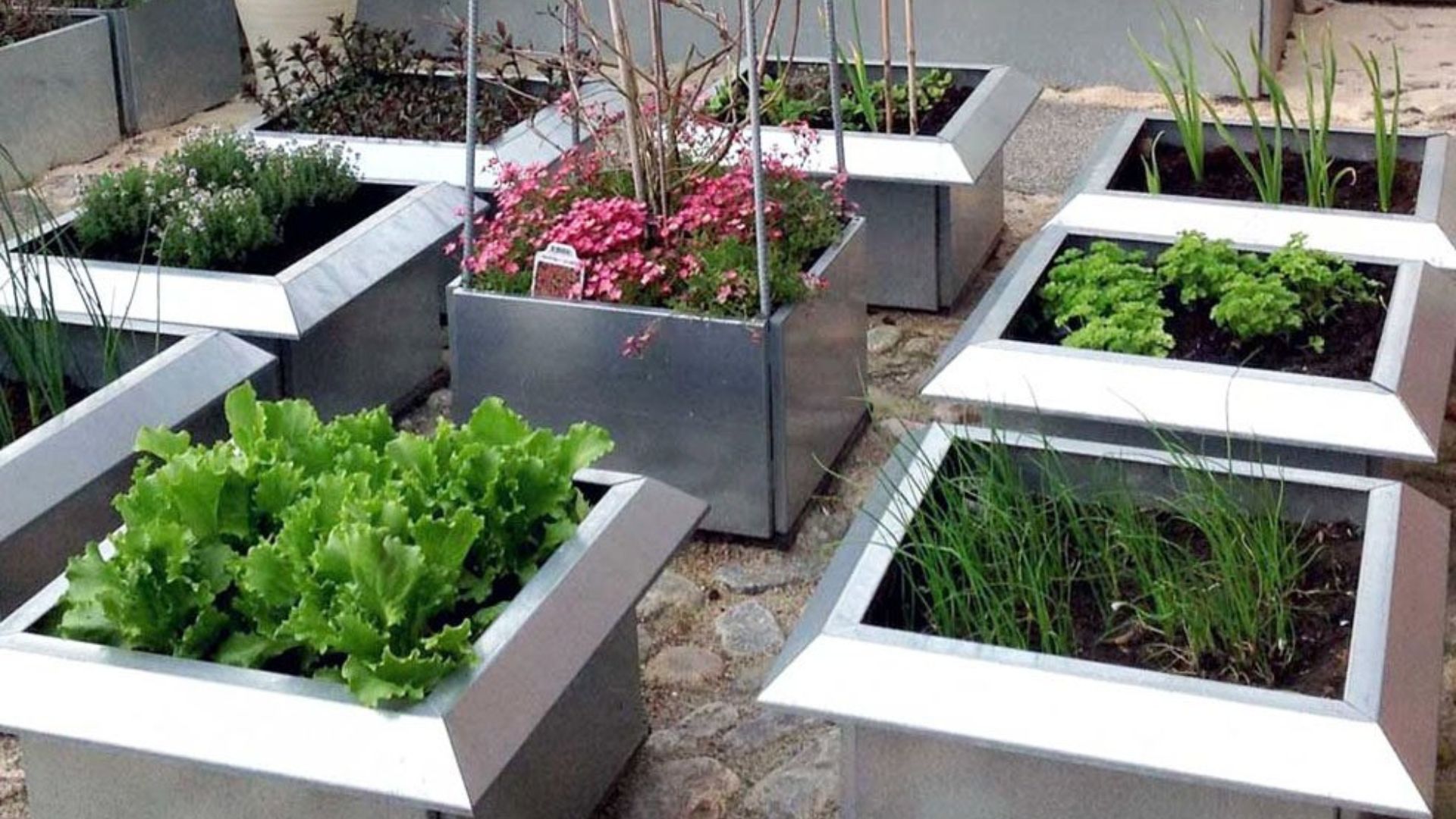 Få lugn från mördarsniglarna