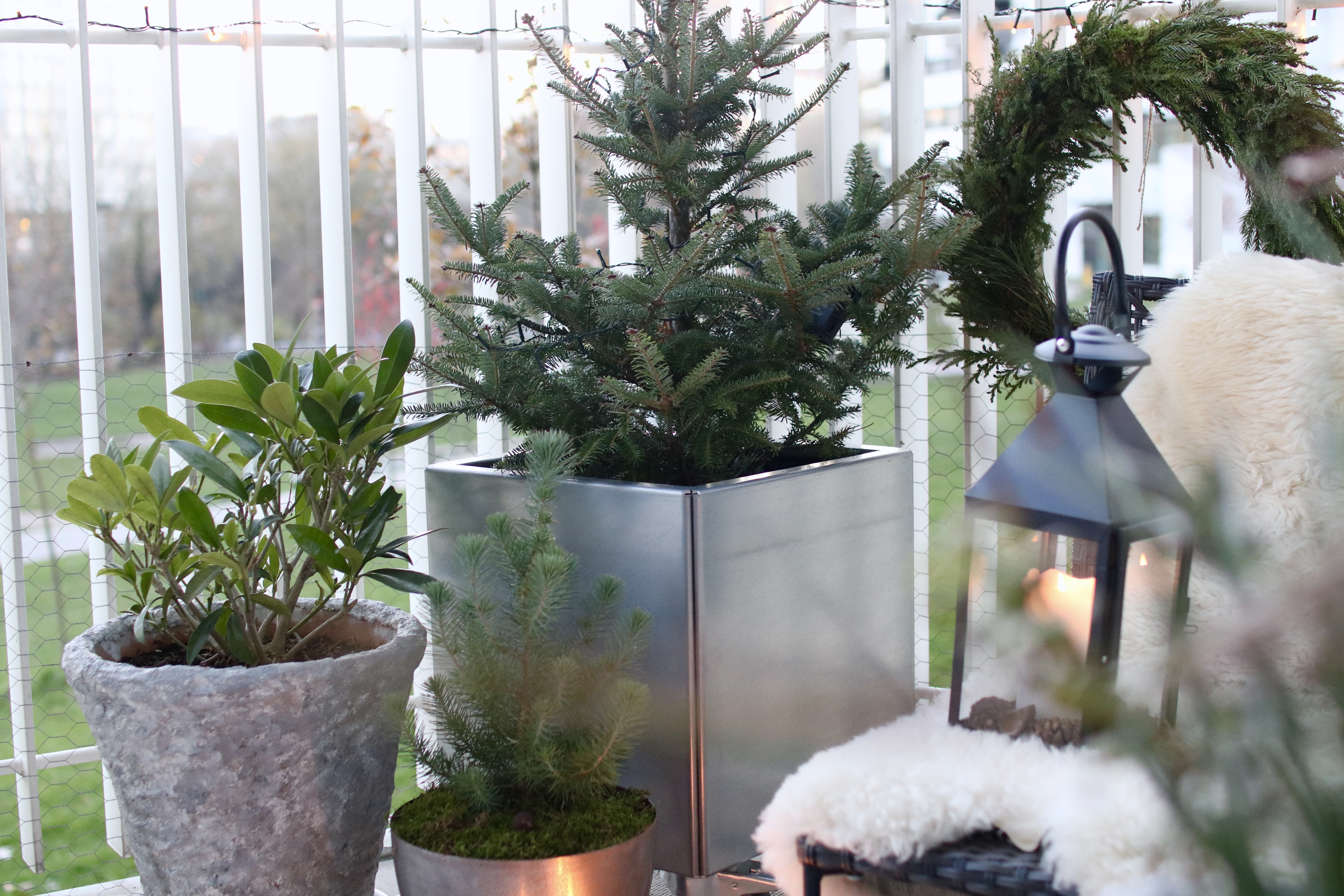 Julklappar till honom, henne & trädgården