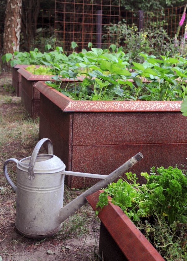 10 härliga höstaktiviteter i trädgården