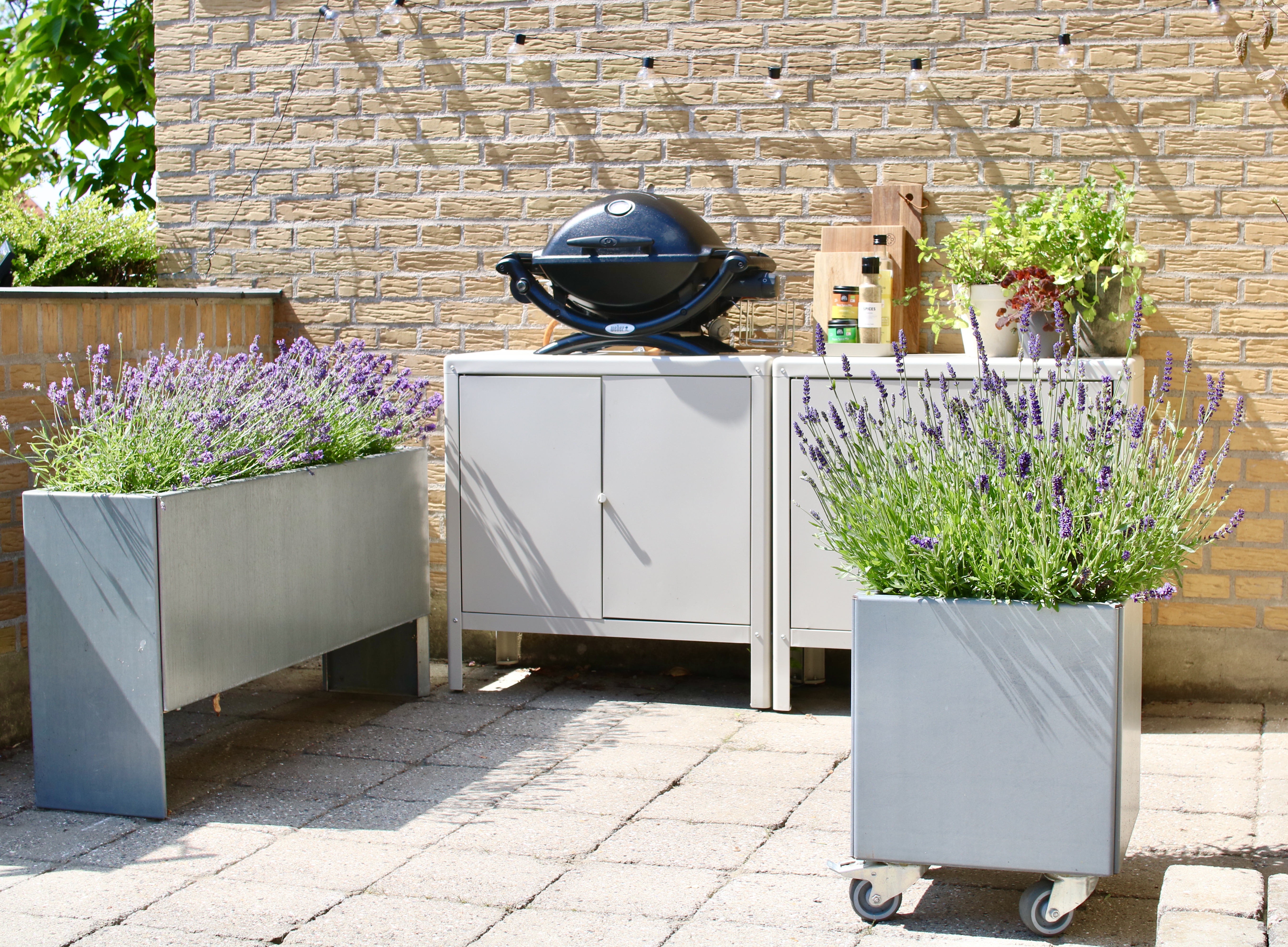 Kryddörter i blomlådor