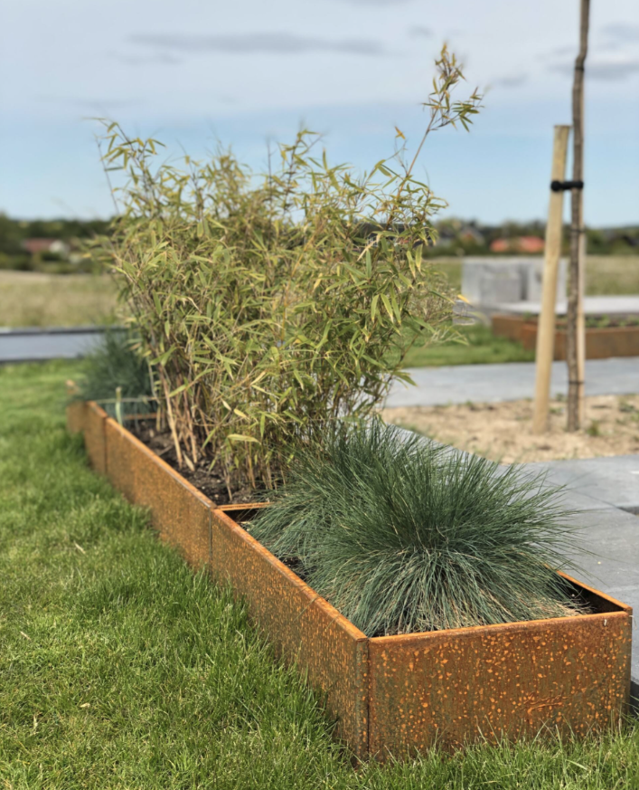 Sensommarens skimmer: Spindelväv, skörd och odlingslådor
