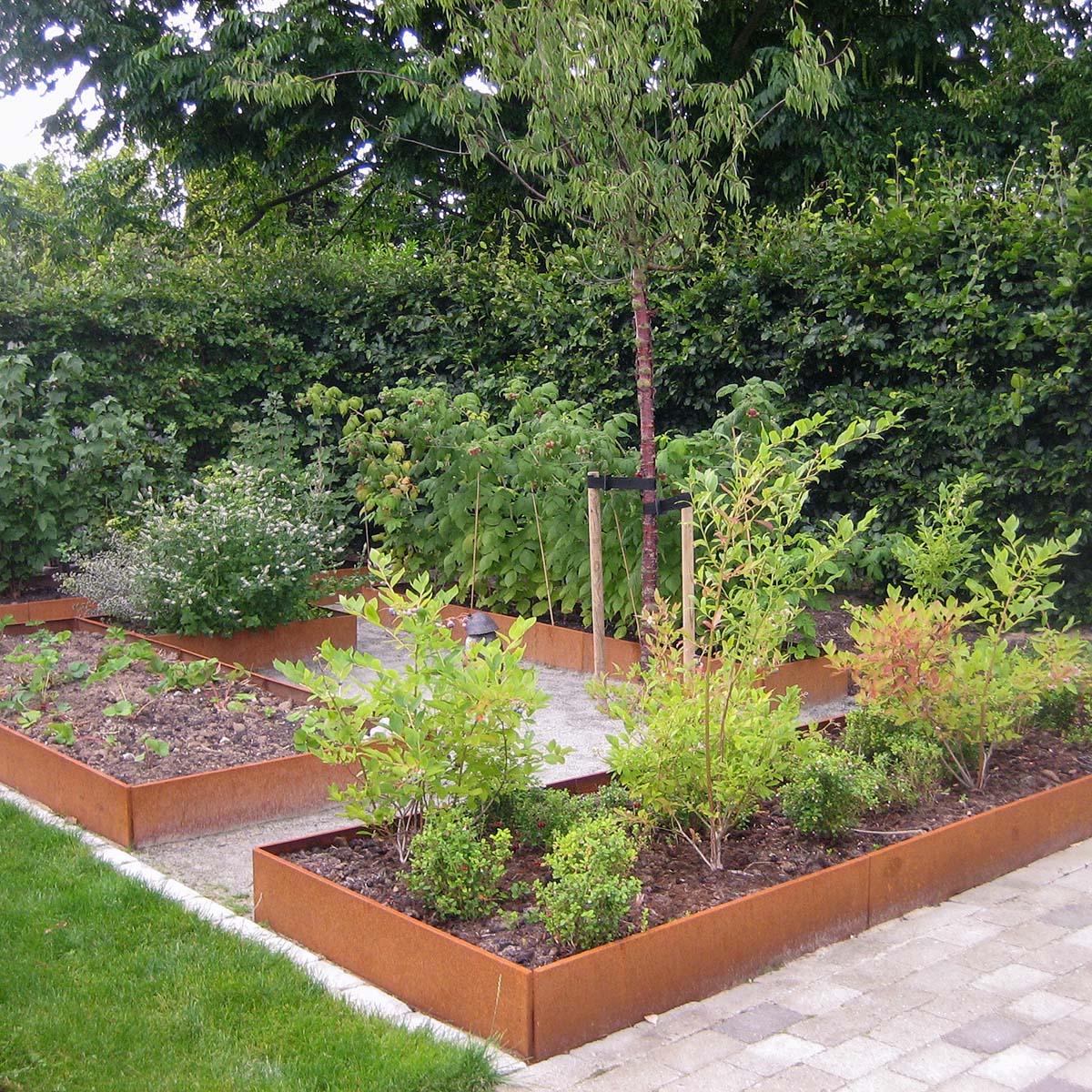 Evas bärträdgård i Hørsholm