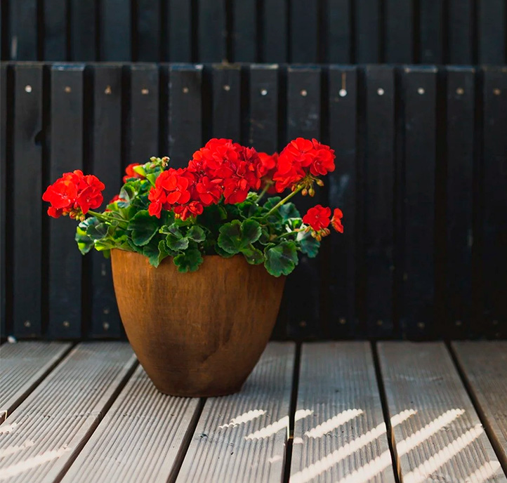 Geranier I Land Cirkles Corten Krukke