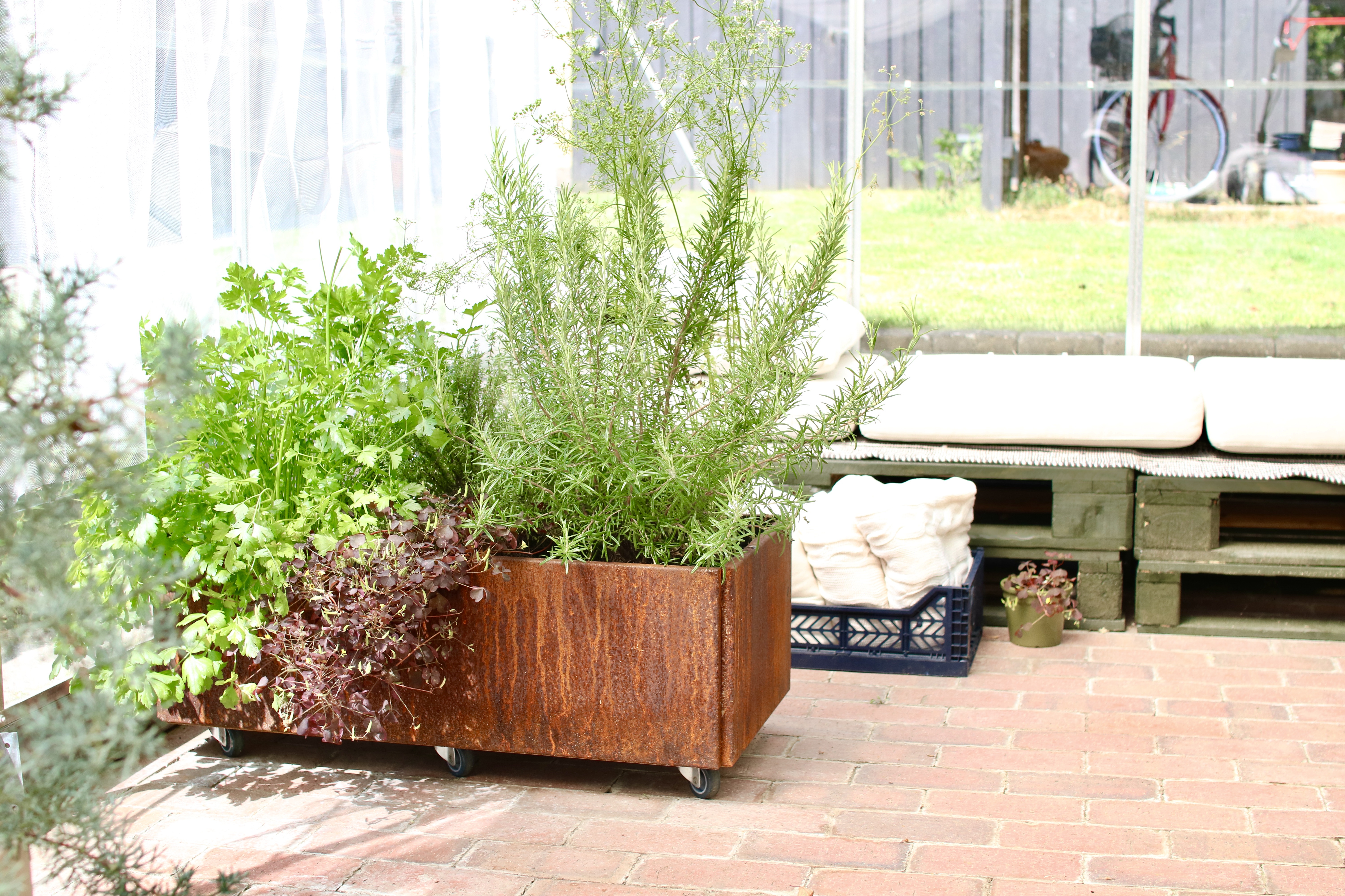 Såtid i köksträdgården – det är inte för sent!