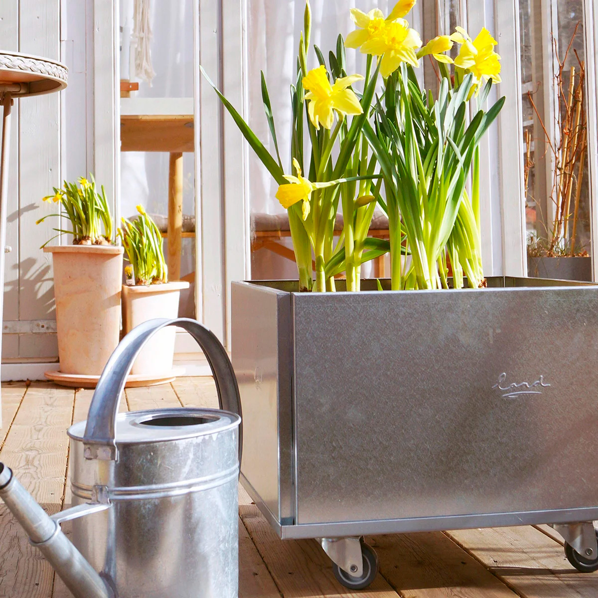 Vårstädning i trädgården