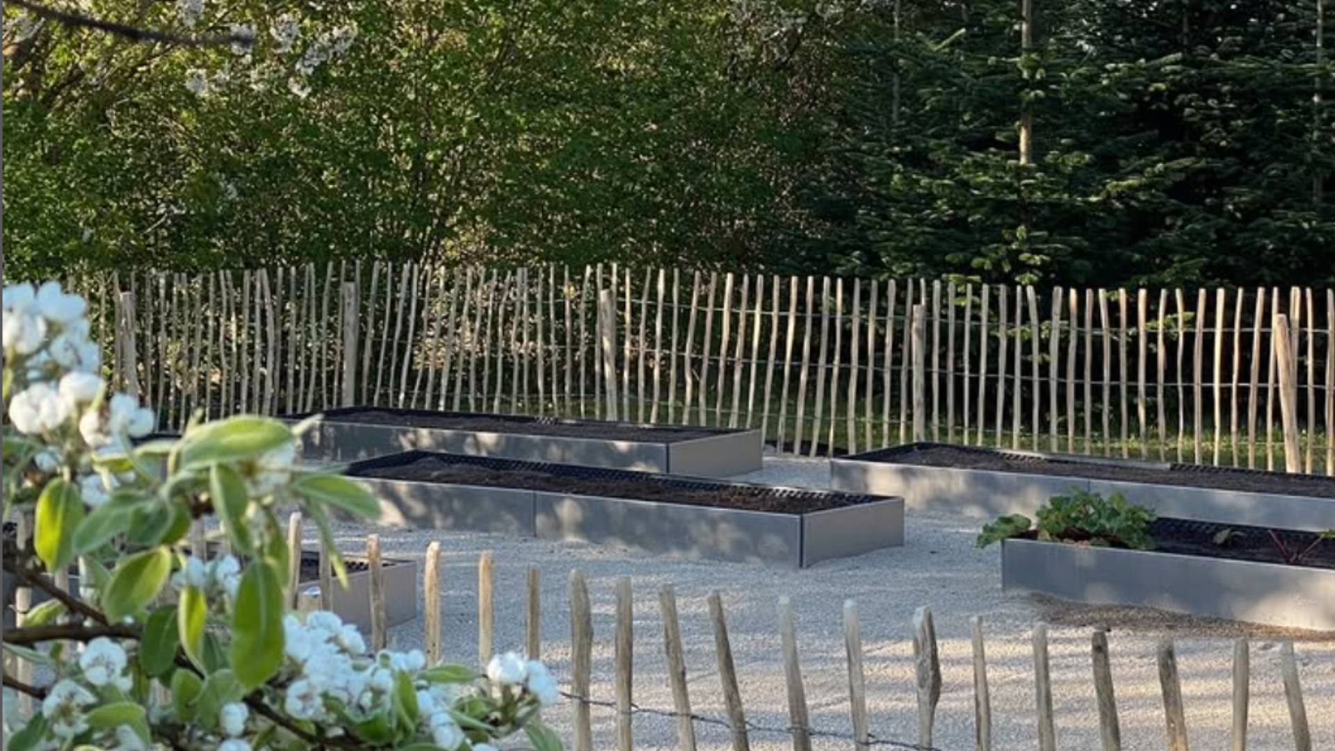 5 bra tips för trädgården i mars