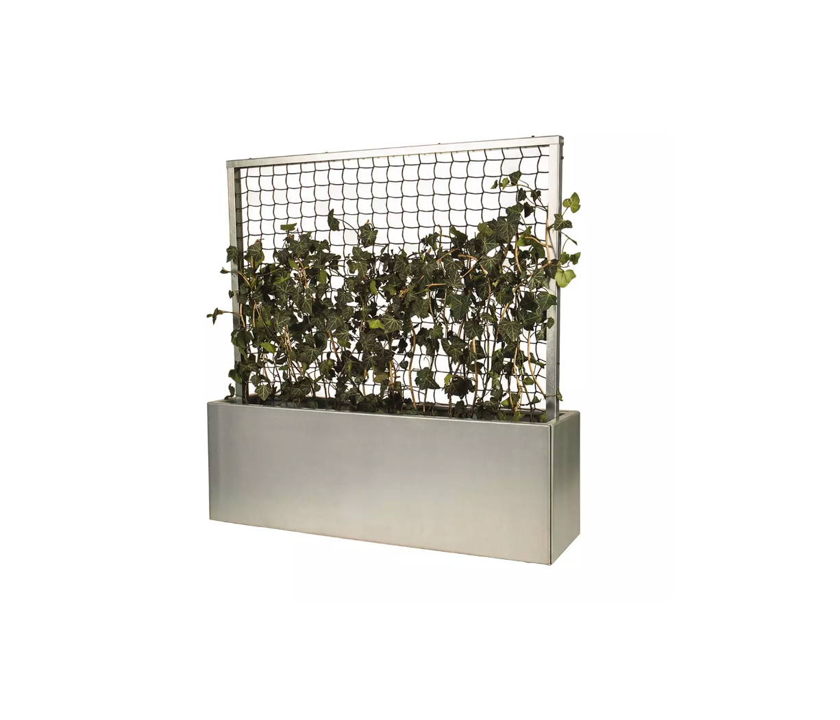 Umbraco.Cms.Core.Models.MediaWithCrops`1[Byggros.Website.Models.ContentModels.Image]