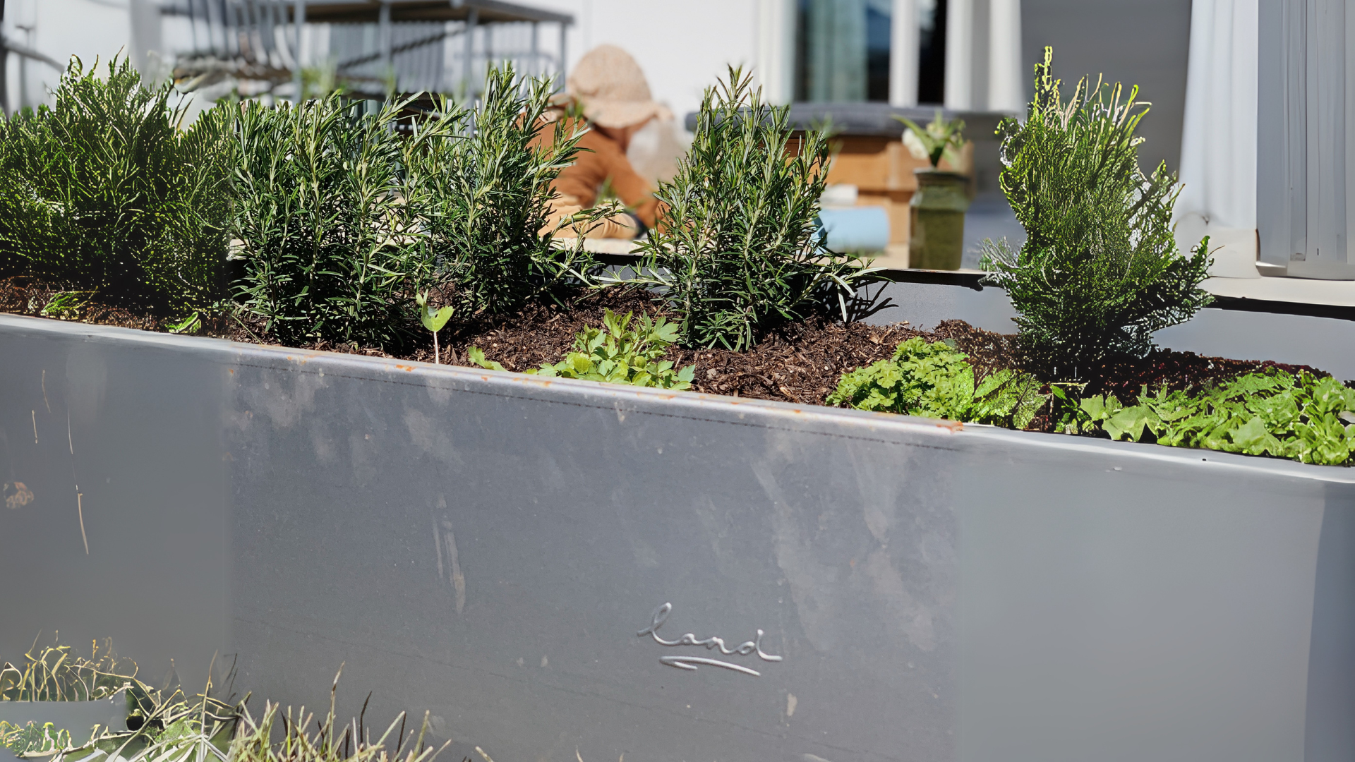 6 lärorika aktiviteter i trädgården