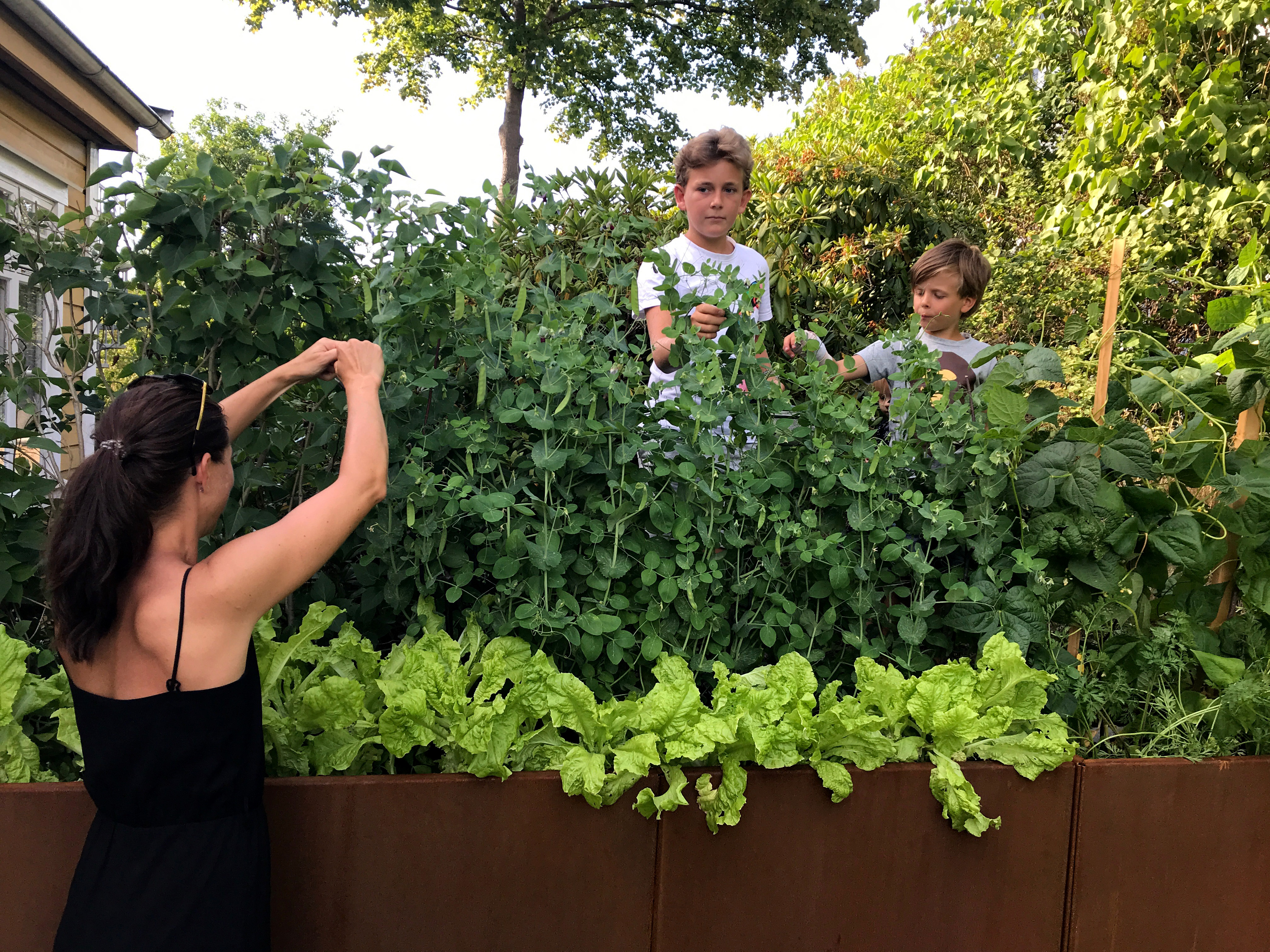 Utnyttja trädgårdens överflöd