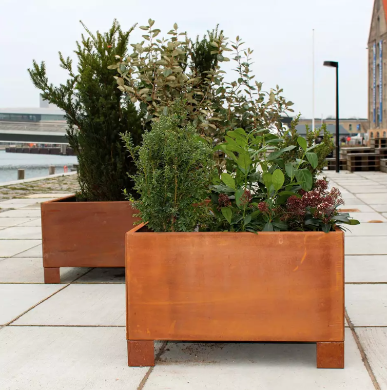 Skærmbillede 2025 01 15 Kl. 11.49.06