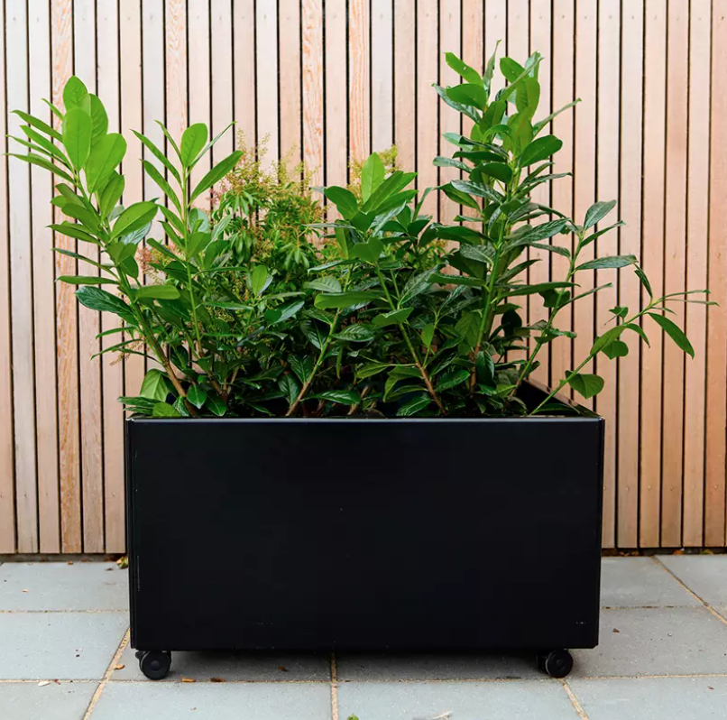 Skærmbillede 2025 07 23 Kl. 09.51.53