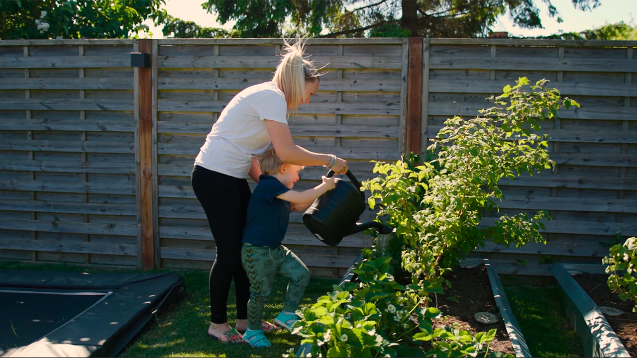 Så odlar du squash och pumpa