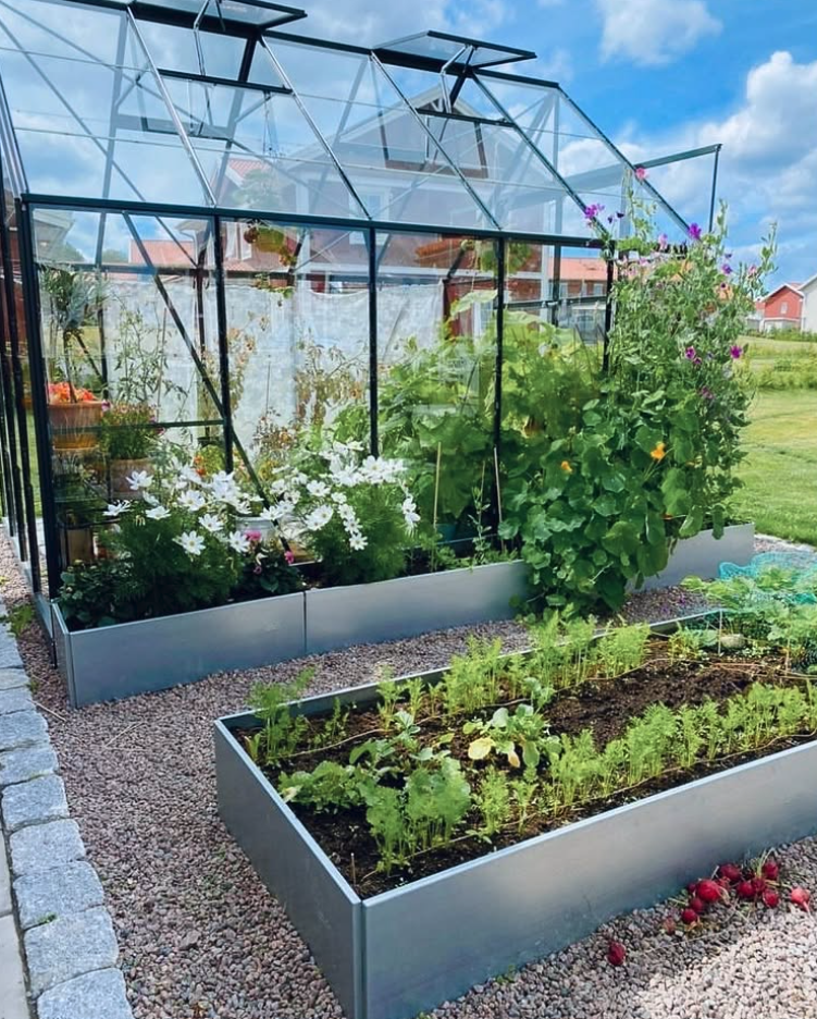 Full fart i odlingslådan – lyckas med purjolök och grönsaker