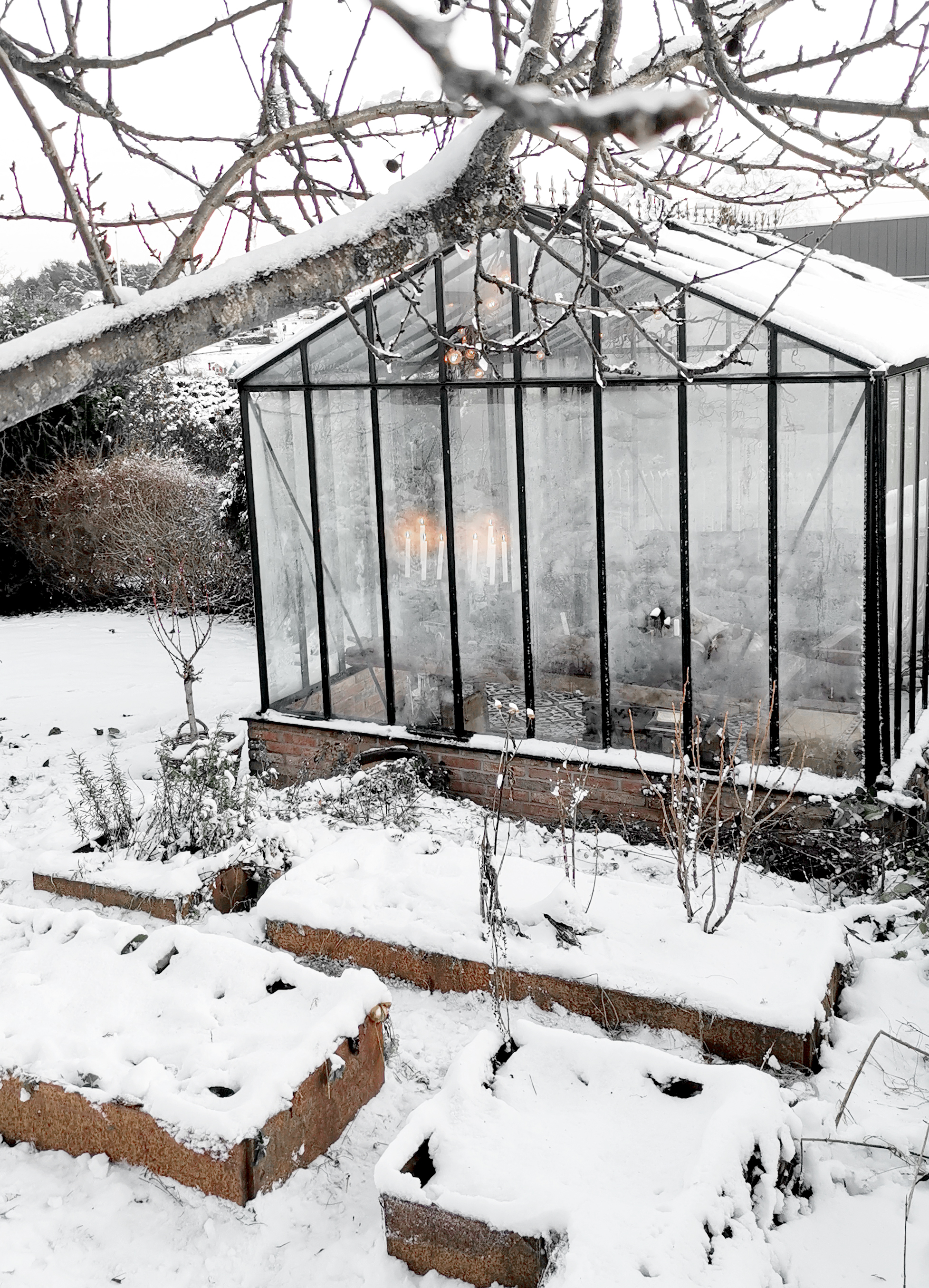 Vinter i trädgården