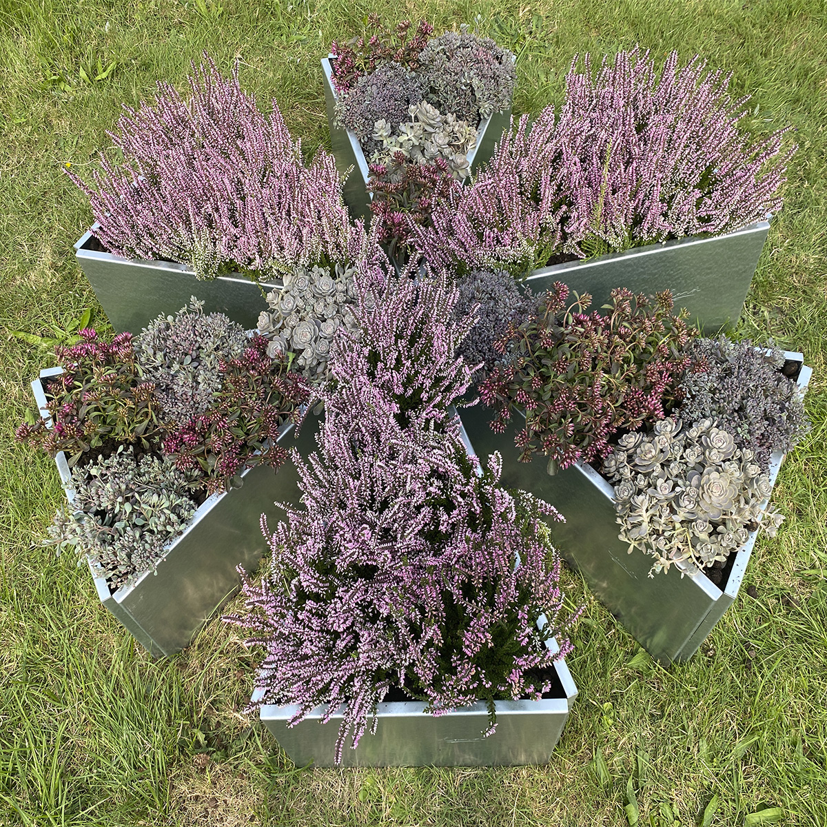 Ska du ha en blomstrande vår?