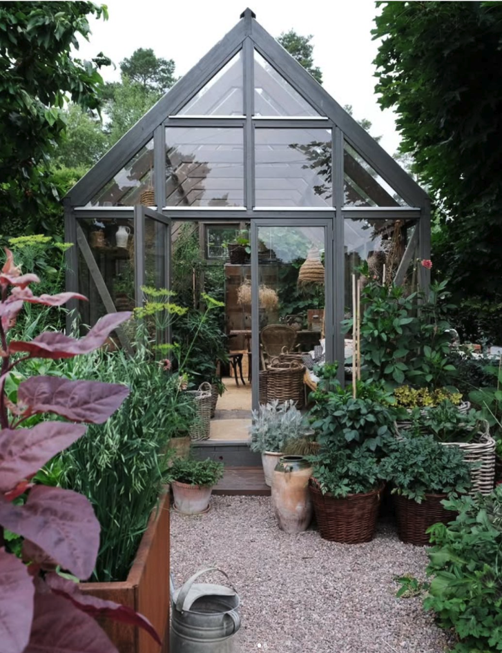 Höstskörd i odlingslådan: Pumpor som dekoration och rödbetor på burk