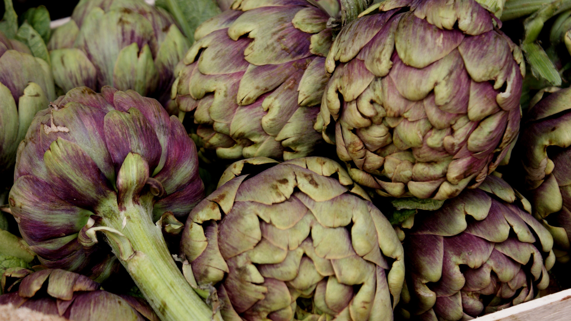 Så lyckas du med artiskockor