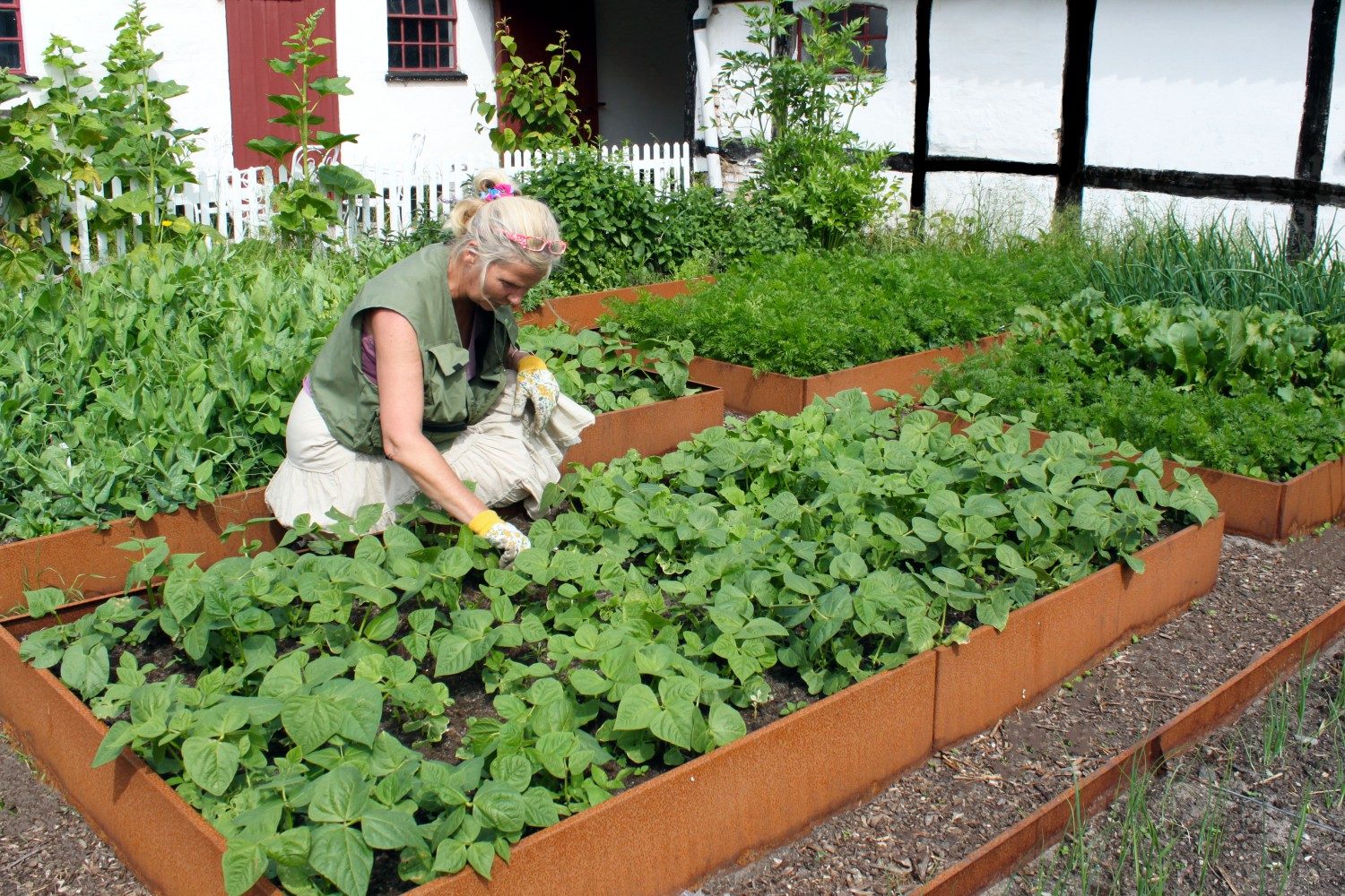 Så anlägger du ett välsmakande och frodigt kryddväxtland