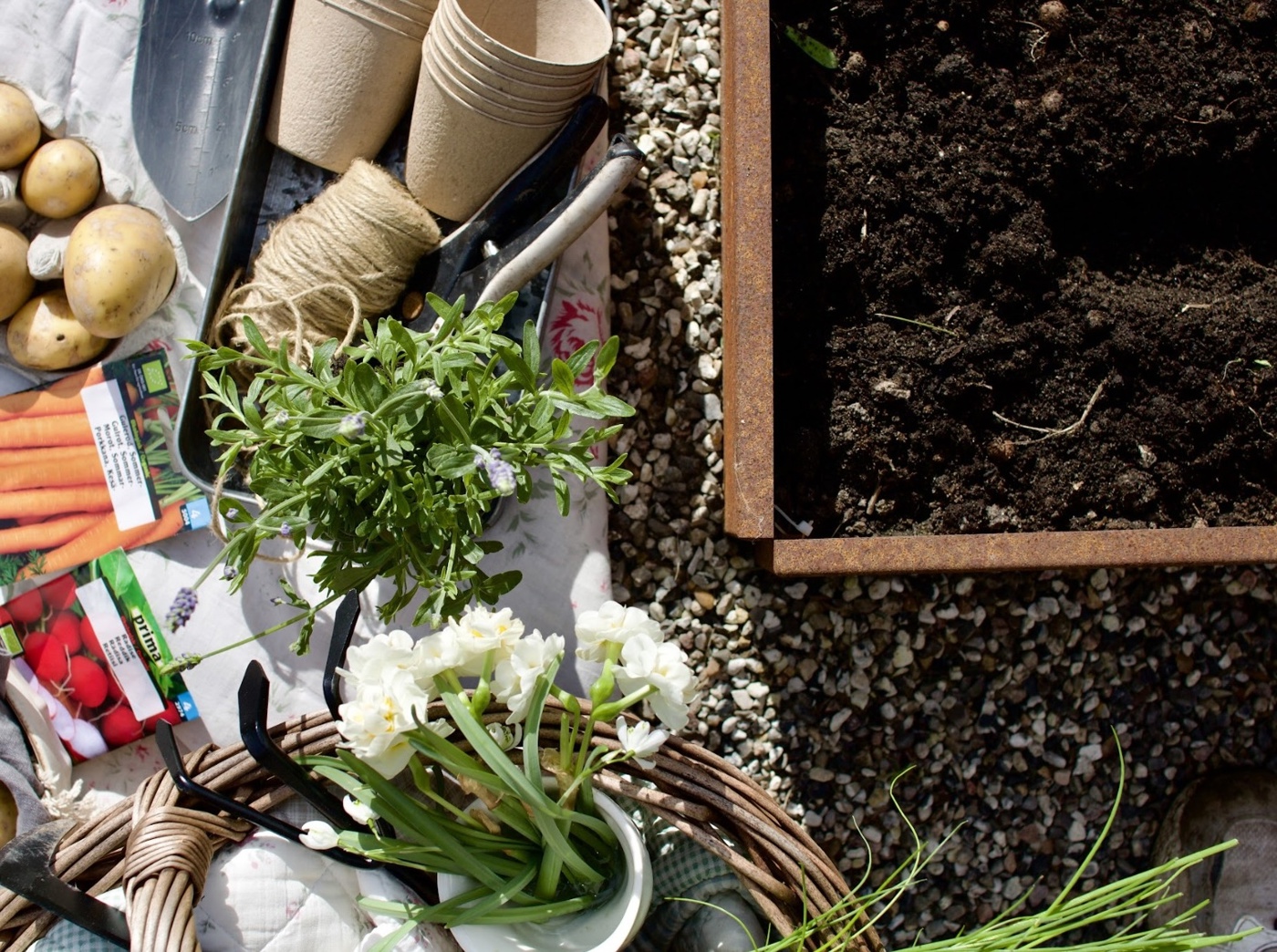 5 superhjältar till köksträdgården – BLOGG