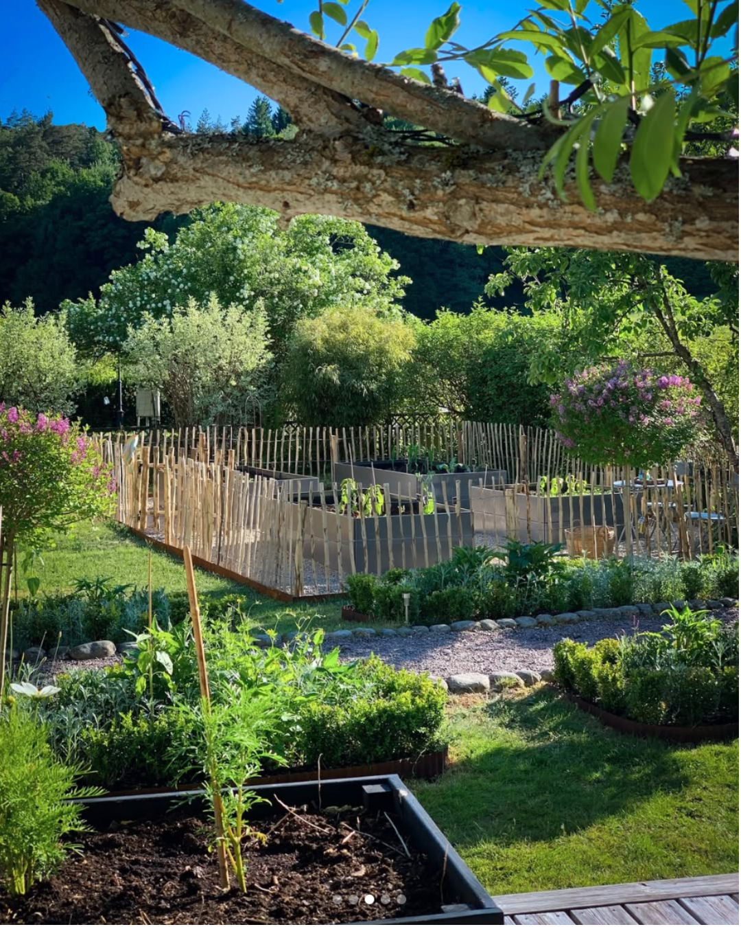 Trädgården i maj – den stora utplanteringstiden