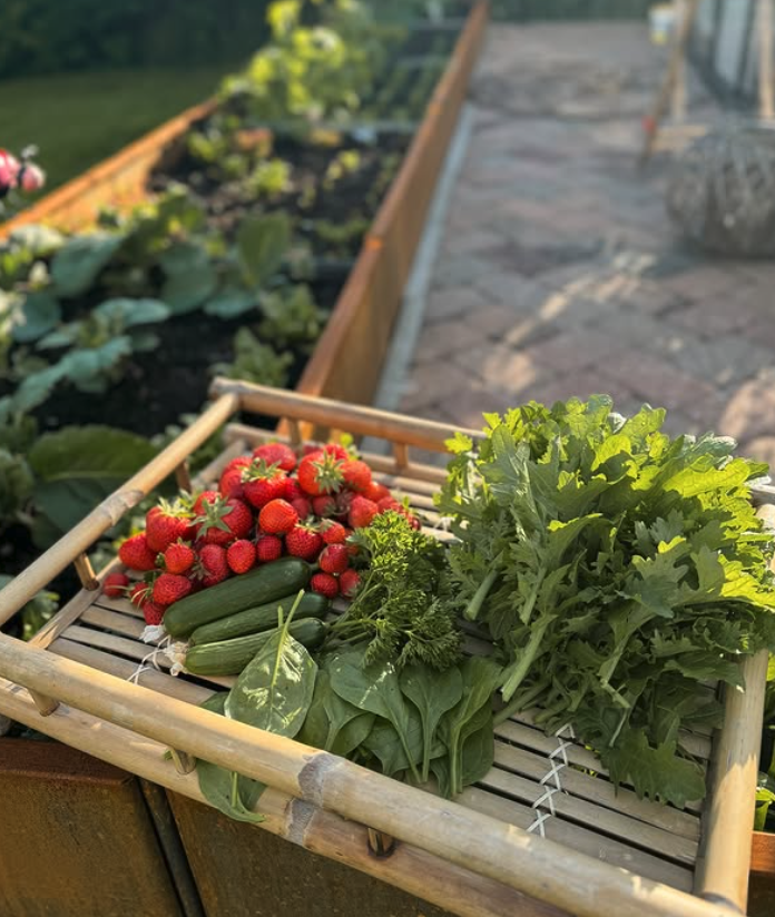 Glädjen i att skörda från odlingslådan