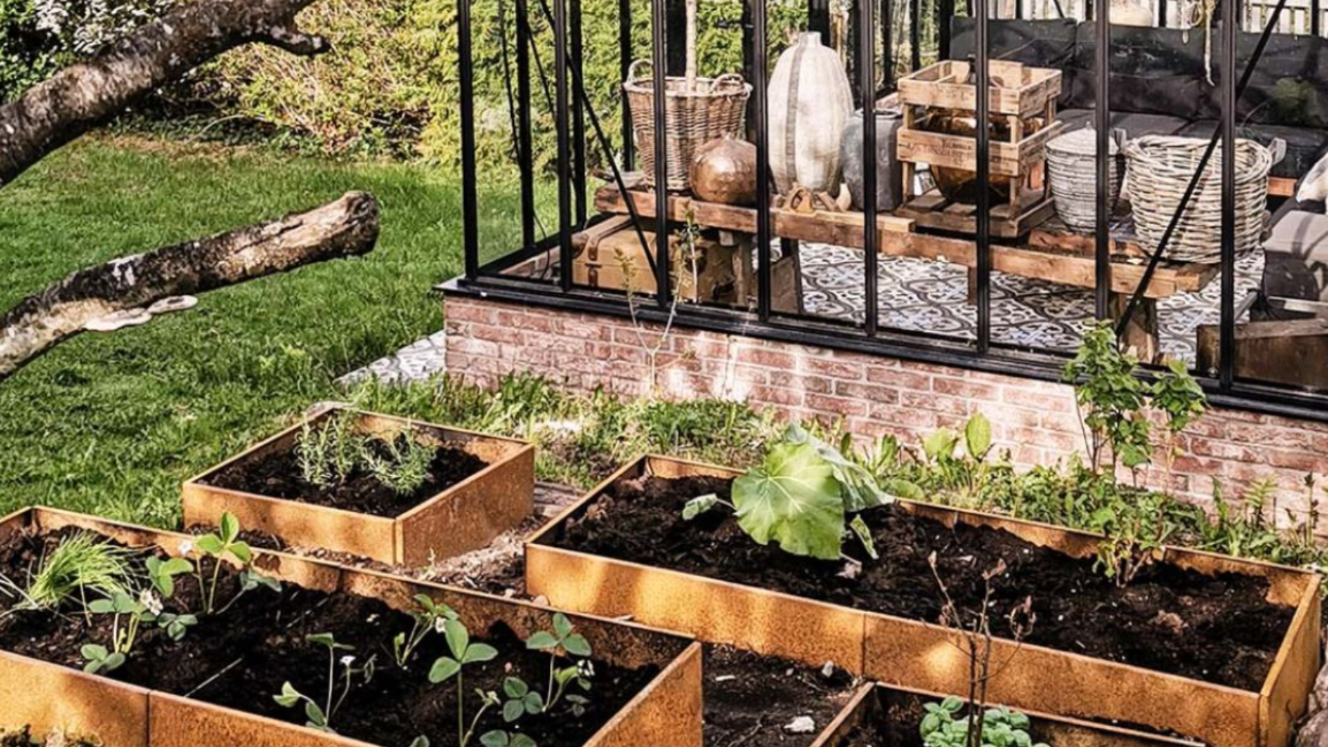 Trädgårdslängtan och blomsterlökar i september