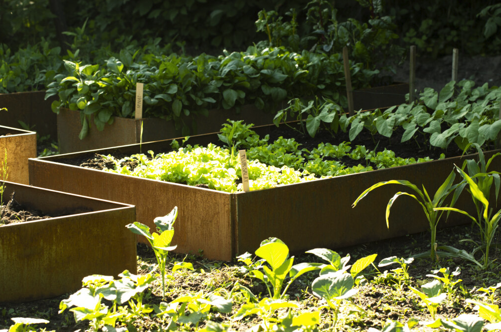 Lätt och elegant trädgårdsglädje